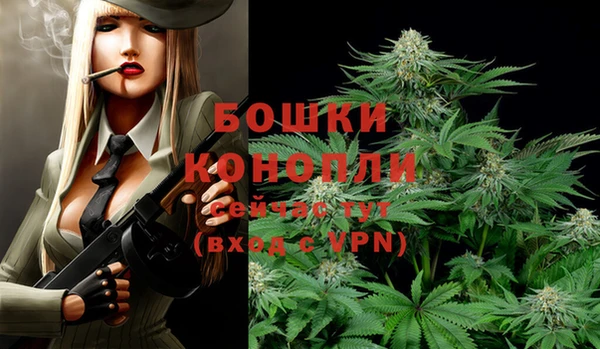 шишки Нефтекумск