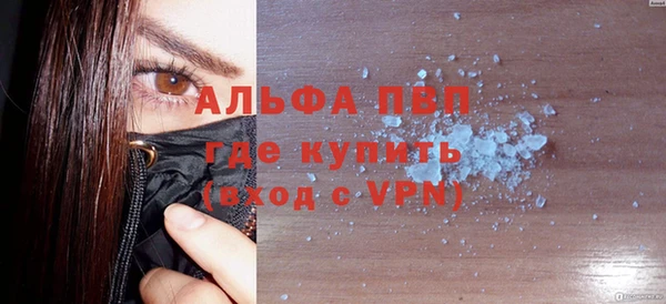 индика Надым